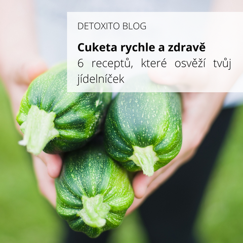Recepty s cuketou