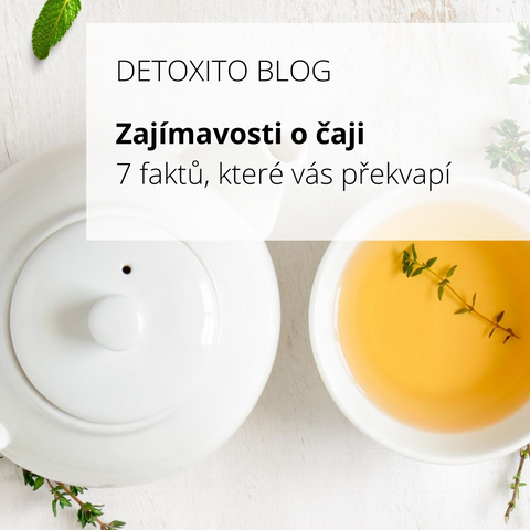 Zajímavosti o čaji
