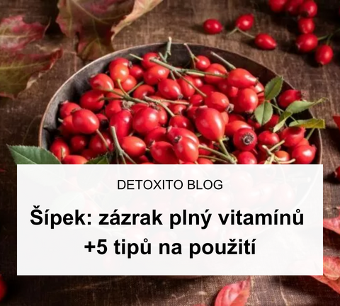 Šípek: zázrak plný vitamínů + 5 tipů na použití